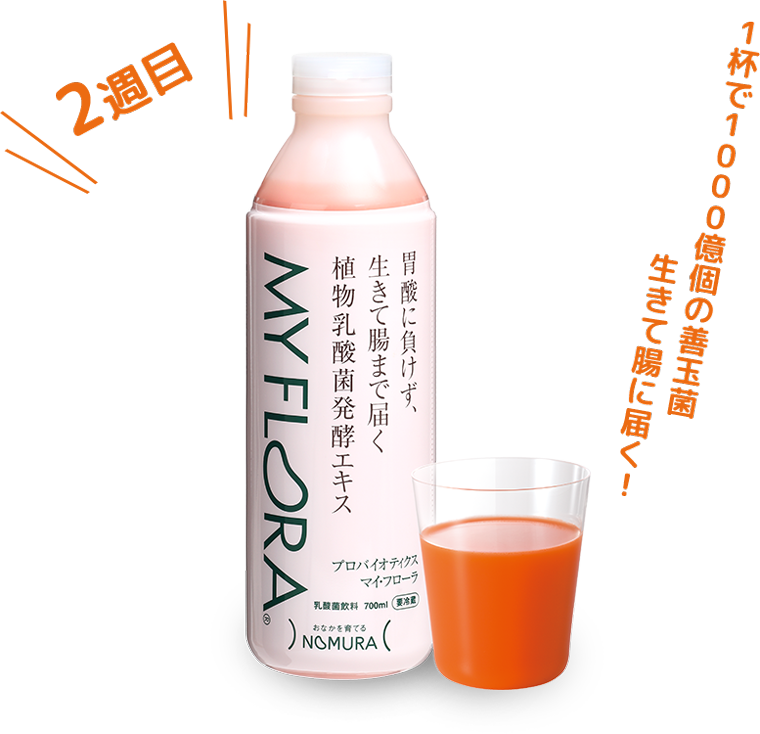 野村乳業株式会社 植物乳酸菌発酵エキス マイフローラ
