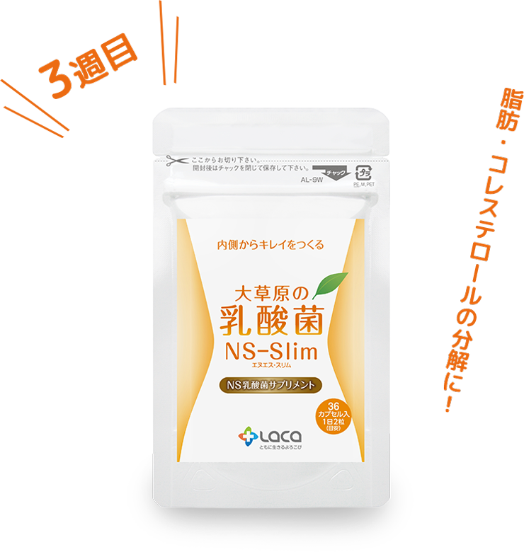 株式会社ラクア 大草原の乳酸菌NS-Slim