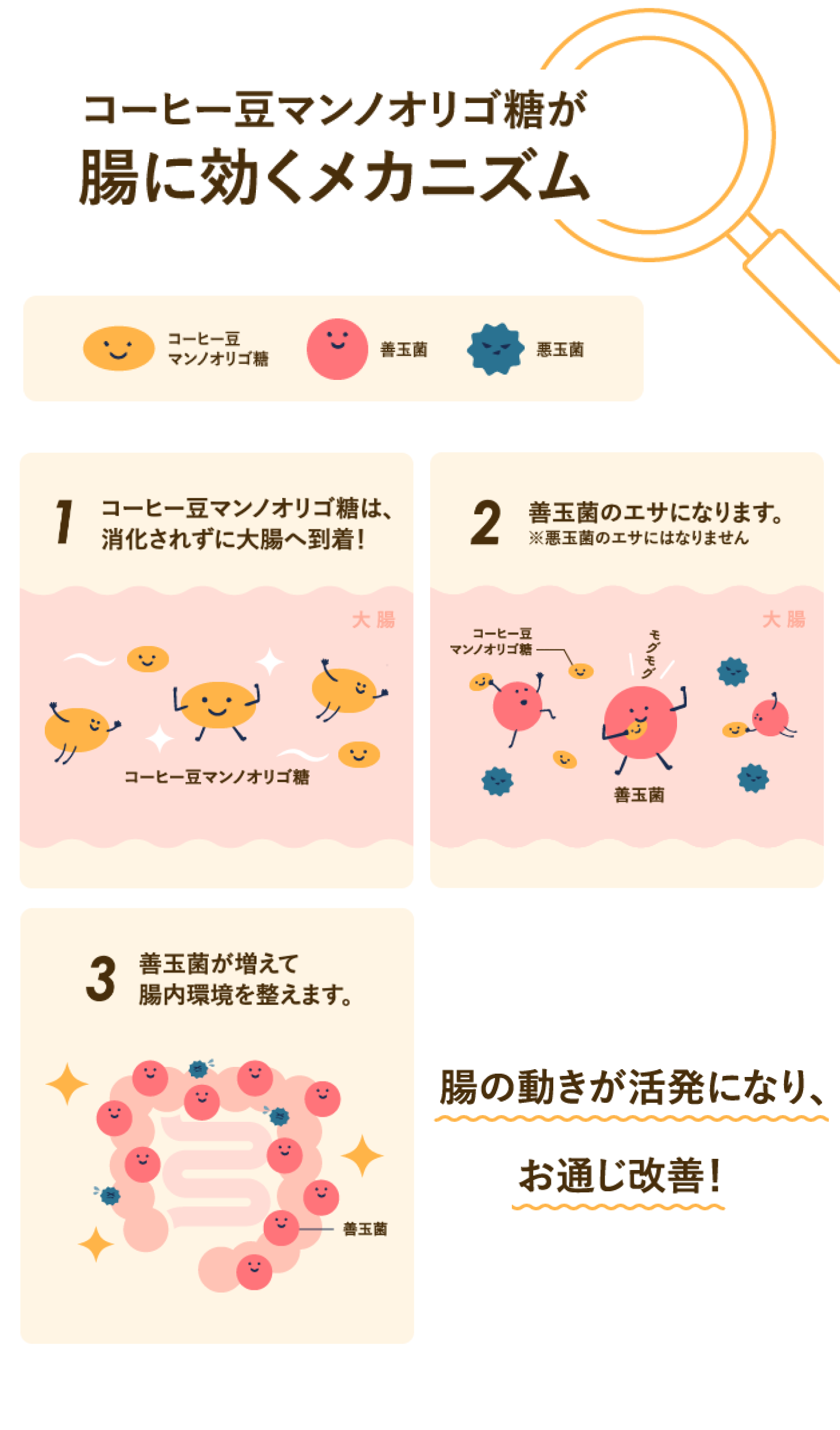 メカニズム